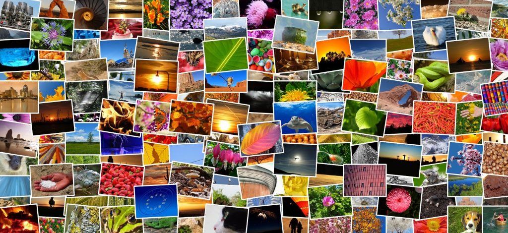 Colorful collage featuring dozens of photographs