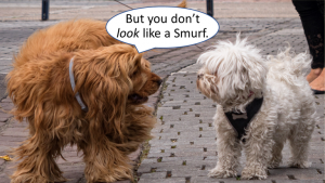 One dog says to another dog, "But you don't look like a Smurf."