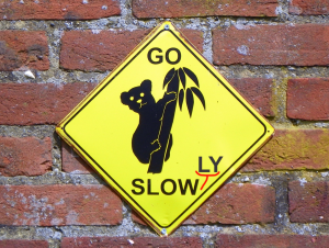 GO SLOW(LY)