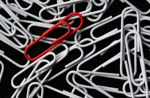 A single red paper clip surrounded by white paper clips