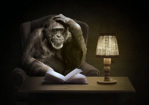 A monkey sits at a desk and reads a book by lamplight