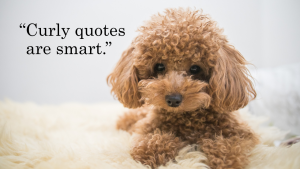 A curly-haired toy poodle sits on shag carpeting next to the quoted words "Curly quotes are smart."