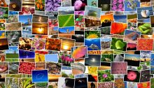 Colorful photo collage