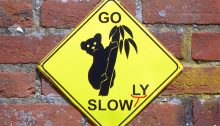 GO SLOW(LY)