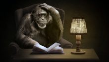 A monkey sits at a desk and reads a book by lamplight