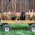 Nine puppies of various colors are squeezed side by side into a wagon.