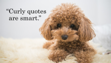 A puppy with golden curly hair sits on shag carpeting next to the following quoted words: "Curly quotes are smart."